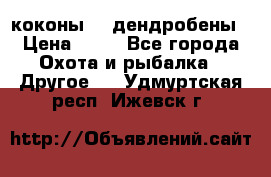 коконы    дендробены › Цена ­ 25 - Все города Охота и рыбалка » Другое   . Удмуртская респ.,Ижевск г.